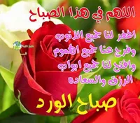 محمد محمد