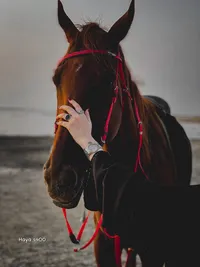 هونور ‏X6 هونور ‏128 جيجابايت ‏تركواز