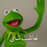 Amer Aleitoom Aleitoom