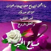 ضياء  النمري