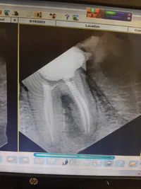 dentsit dentist
