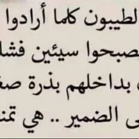 فادي محمد عناقره
