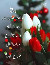 زيد الجوهري 