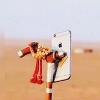محمد الحويطي