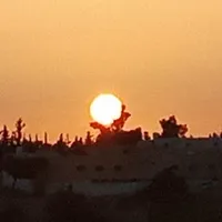 أبل ‏ايفون 11 ‏256 جيجابايت ‏أبيض