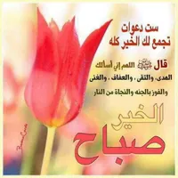 ابو صهيب