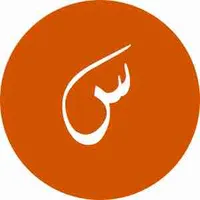 شاومي ‏13 برو ‏512 جيجابايت ‏أسود
