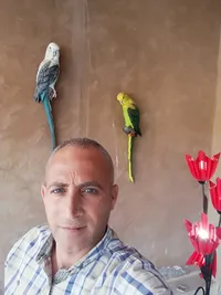 عماد عتمه