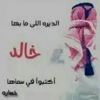 Alaa Aldajaa