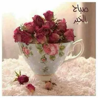 noor hasi