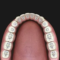 L8 ستار ‏فئة BM ‏2 تيرابايت ‏أبيض
