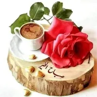 عامر جيتاوي