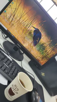 نغم 