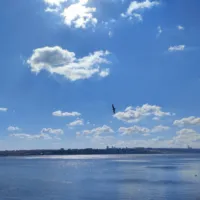 SEO Specialist -Jerusalem