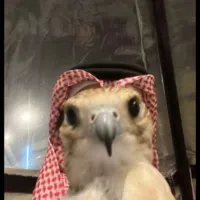 أبل ‏ايفون 16 ‏256 جيجابايت ‏أزرق