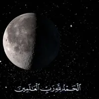 محمد يحيى