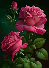 تويوتا كامري SE 2015