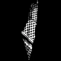 هونور ‏X9a هونور ‏256 جيجابايت ‏لؤلؤي