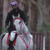 أبو سند ألفاعوري