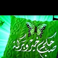 احمد ابو عادل