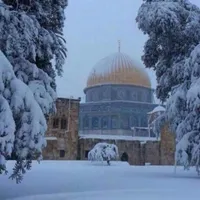 سامسونج ‏جالاكسي S25 الترا ‏128 جيجابايت ‏ذهبي