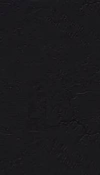 فاطمة الزهراء ابازيد