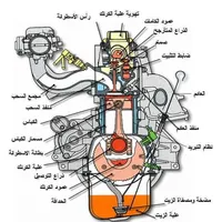 Mamdoh Al Oshoush