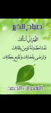 كيا ‏ريو ‏Standard ‏2000