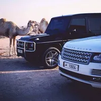 الشمري الشمري