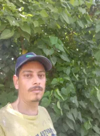 مينا