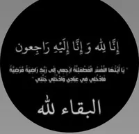 محمد شادي بدر لفداوي