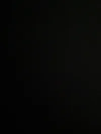 ندين المحتسب