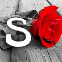 nour