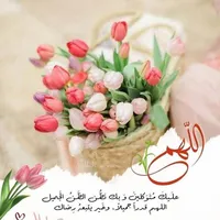 Ahmad shaher Al hashlamoun
