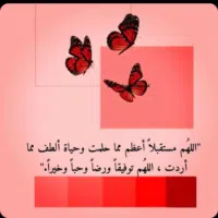 محتاجه وظيفه