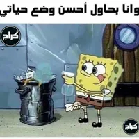 Ammar Ababneh