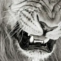 تكنو ‏بوفا ‏128 جيجابايت ‏ذهبي