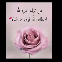 تويوتا ‏كامري ‏LE ‏2019