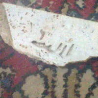 محمد المصطفى