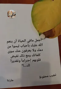 محمد
