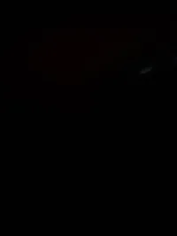 ينال عبيسات 