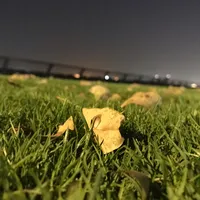 كيا ‏سبورتاج ‏EX ‏2014