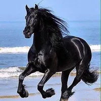 ام حمزه