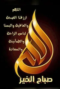 شمس الدين القيسي