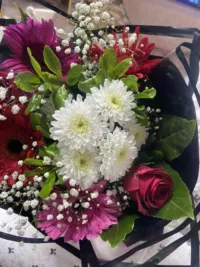 Content Writer -Hebron