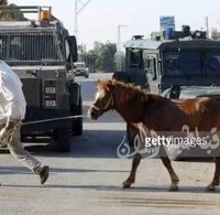 موسى طزازعه