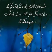فورد ‏فيوجن ‏SE ‏2015