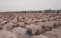 على فتحي