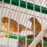 هيونداي ‏سوناتا ‏Blue ‏2014