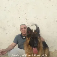 راني